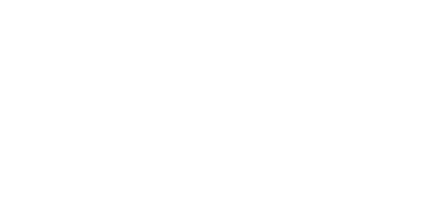 ggz wit